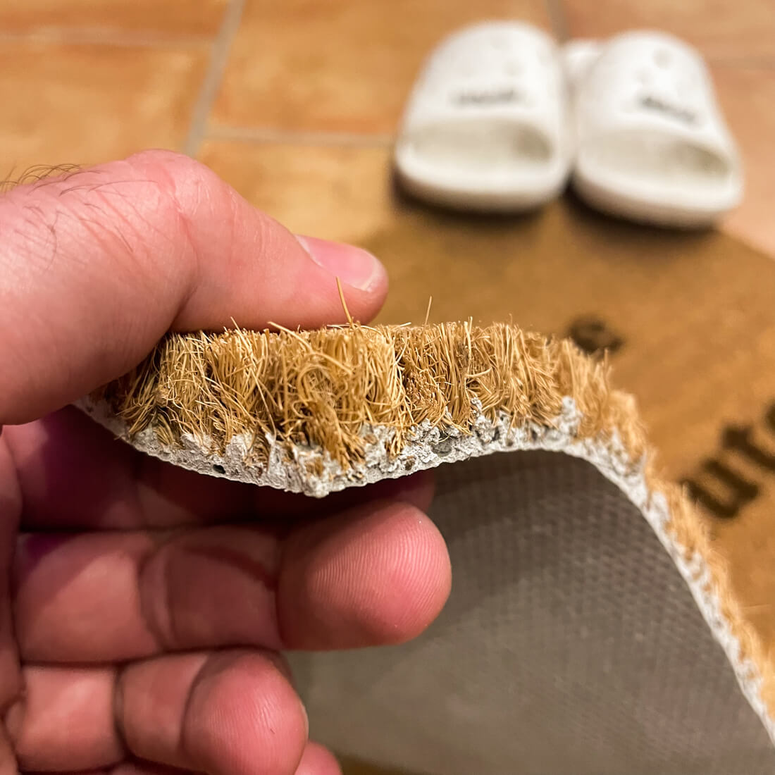 Fossi in te non sarei venuto