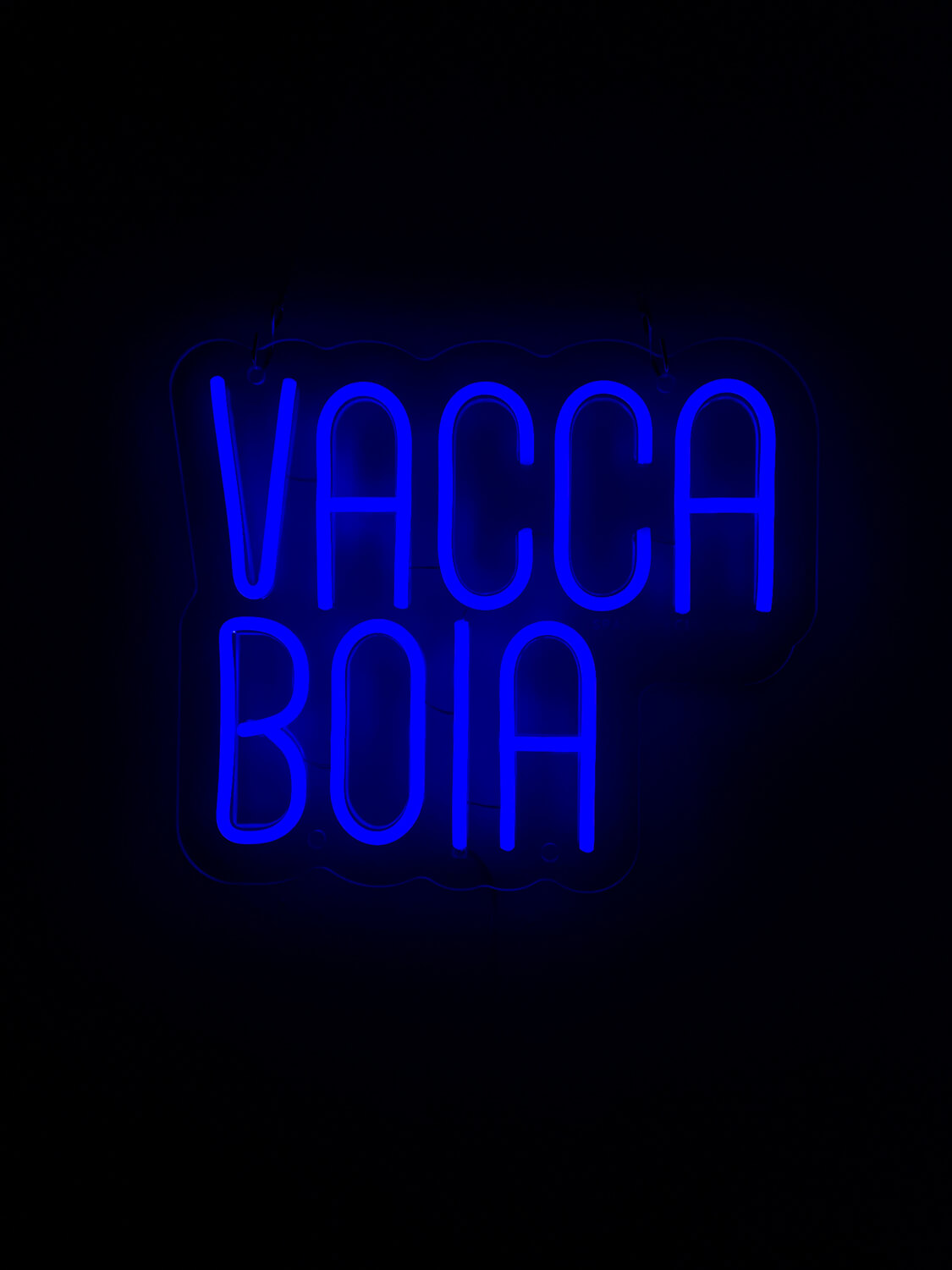 Vacca Boia