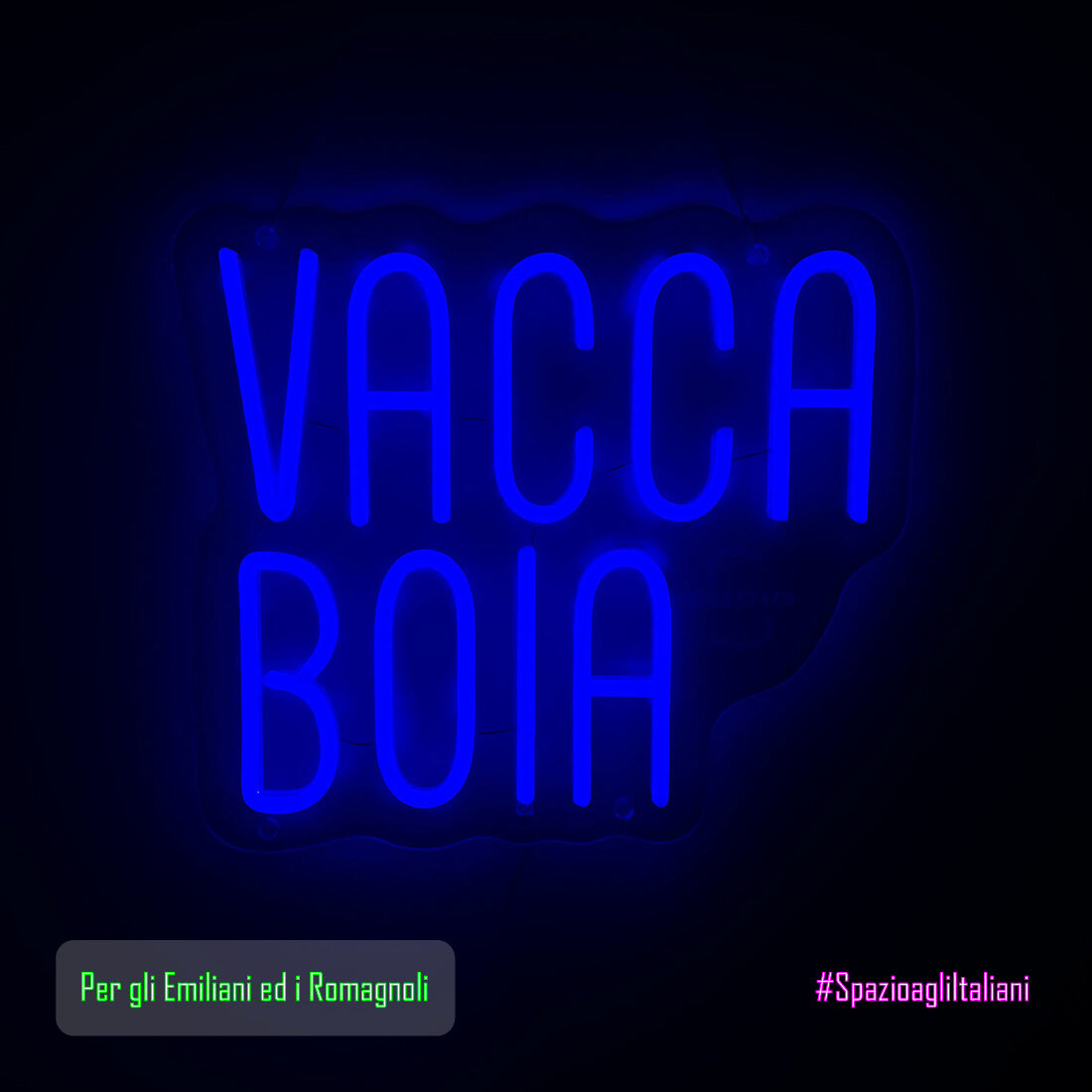 Vacca Boia