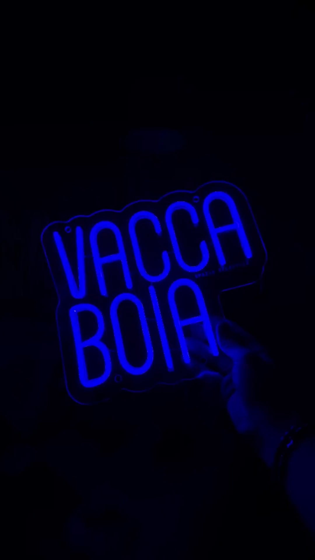 Vacca Boia